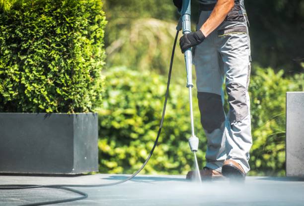 Best Fleet Vehicle Washing  in Lake Wales, FL